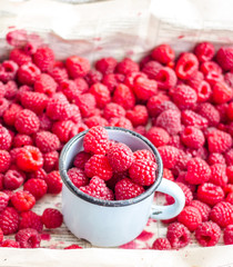 fresh red raspberries in a metal mug and placer
