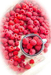 fresh red raspberries in a metal mug and placer