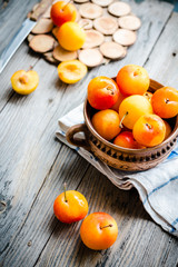 Fresh yellow plums in pottery on gray wooden table, rustic, farm
