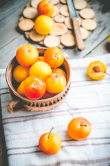 Fresh yellow plums in pottery on gray wooden table, rustic, farm