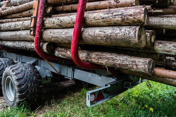 Baumstamm Transport Wald