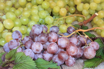 Obraz premium Rausin rouge et blanc 