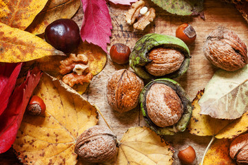 Autumn background with nuts and red and yellow leaves, selective