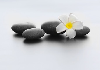 Obraz na płótnie Canvas Spa stones with flower on light background