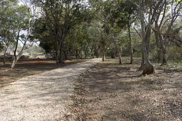 Curva del camino blanco
