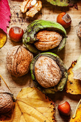 Autumn background with nuts and red and yellow leaves, selective