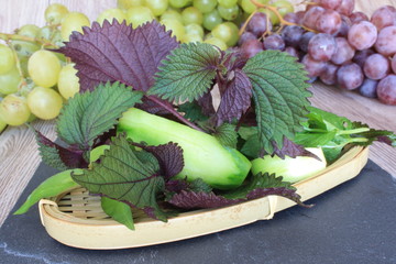 Plante médicinale 