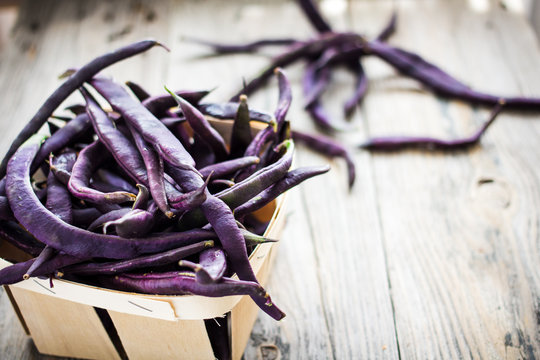 Purple Wax Beans on a gray background