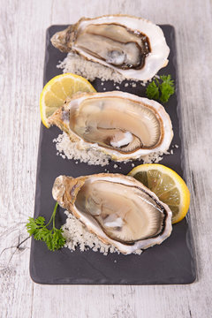 fresh oyster