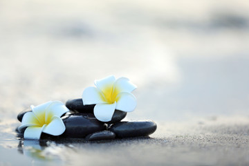 Fototapeta na wymiar Spa stones with flowers on sea beach outdoors