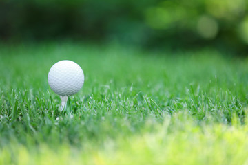 White golf ball on green grass background