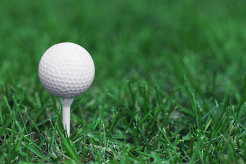 White golf ball on green grass background