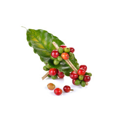 fresh coffee beans isolated on white background