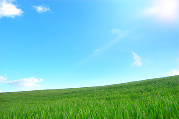 Bellissima collina verde con il sole che splende nel cielo azzurro