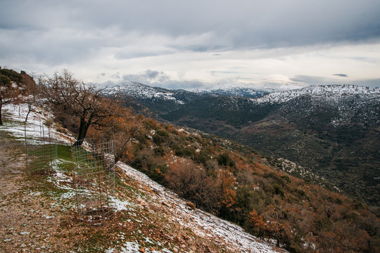 Winter Landscape In The Mountains Near Vassa, Greece