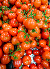 Tomatoes on the supermarket display