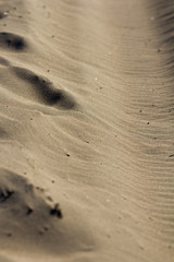 Fototapeta na wymiar sand as background