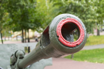 Artillery small calibre cannon 
