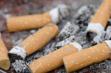 cigarette stubs