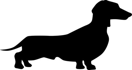 Dachshund dog silhouette