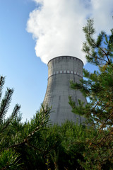 Nuclear power plant