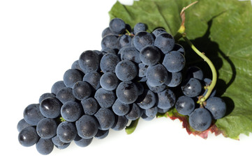 Rotwein, Rote, Weintrauben, Weintraube, Roter,