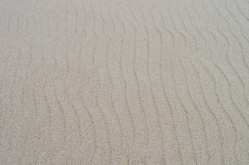 Fototapeta na wymiar Sand structure on the Baltic beach