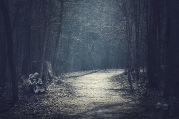 Fototapeta premium Halloween landscape. Dark forest with empty road