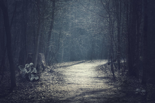 Fototapeta Halloween landscape. Dark forest with empty road