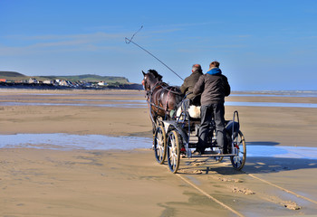attelage sur la plage