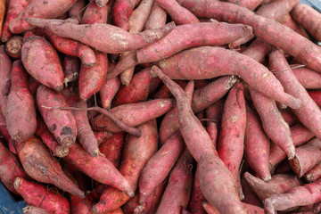 Fresh yam at the market