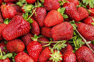 Strawberry heap at market on a sunny day, close up