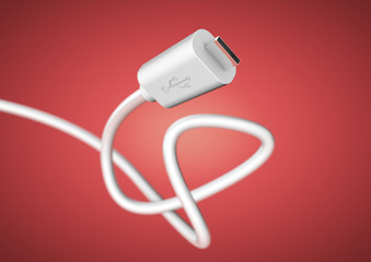 USB computer plug data cable at camera with large depth of field