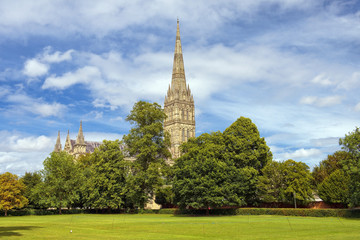 Salisbury Cathedral and park on sunny day, South England - obrazy, fototapety, plakaty