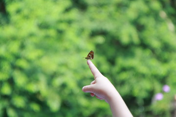 Motyl na dłoni dziecka © Agnieszka Ciszewska