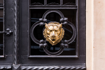 Old steel and glass door decorated with golden wolf head