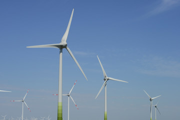 Fototapeta premium Windräder
