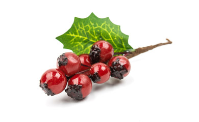  winterberry Christmas branch with red holly berries