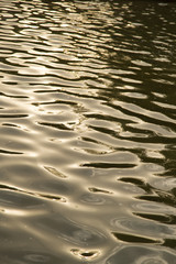 background of yellow surface of the water