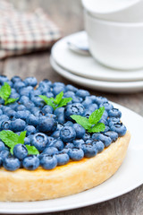 Cheesecake with blueberry and mint. Summer dessert