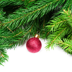 Christmas background with fir twigs and red balls isolated on wh