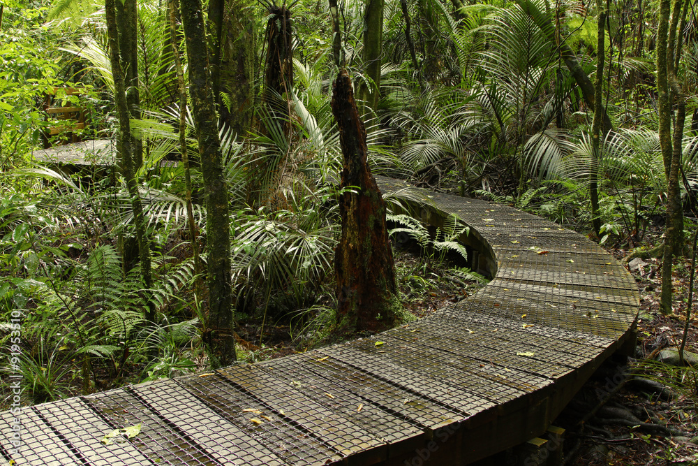 Sticker forest boardwalk