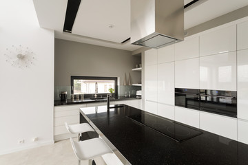Fancy black and white kitchen