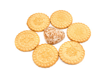 tasty cookies and gingerbread