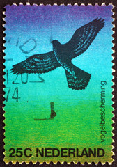 Postage stamp Netherlands 1974 Bird in Flight