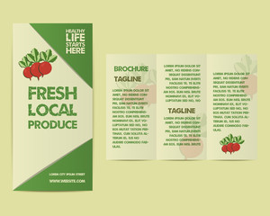 Summer Farm Fresh flyer template or brochure design with radish
