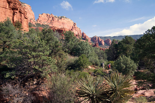 Hikers, cacti, pinyon pines, and cliffs along Schnebly Hill Road near Sedona, Arizona