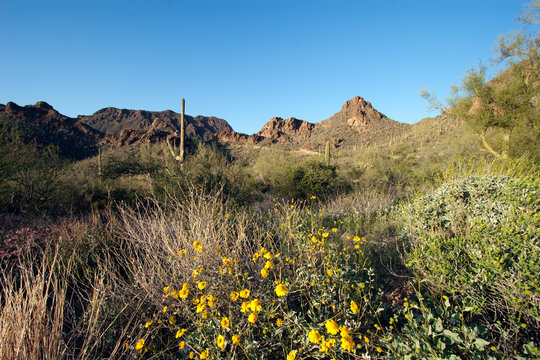 Gates Pass in Tucson Mountain Park in Arizona's Sonoran Desert