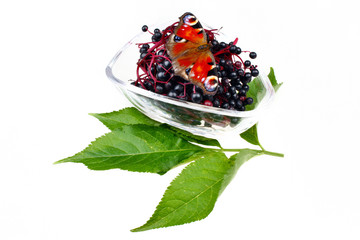 Fresh fruit elderberry and butterfly Inachis io