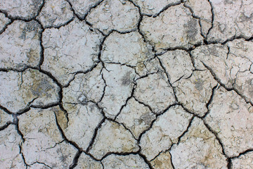 soil Cracked arid  pattern for background.